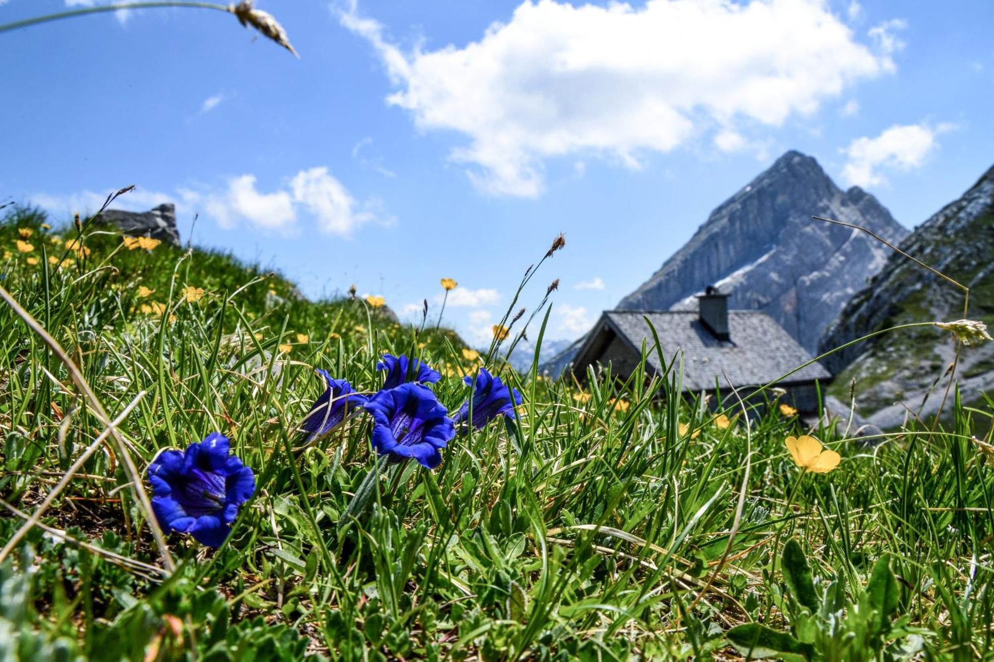 Ferienwohnung Fagstein Schönau am Königssee Exterior foto